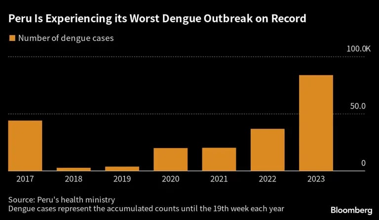 Perú registra actualmente su peor brote de dengue. dfd