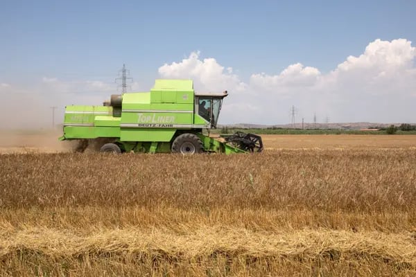 Una cosechadora corta un campo de trigo en Polykastro, Grecia, el viernes 1 de julio de 2022. Fotógrafo: Konstantinos Tsakalidis/Bloomberg