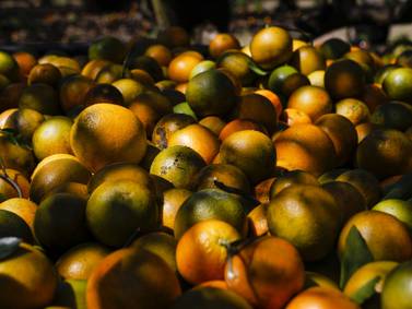 Futuros del jugo de naranja suben por segundo día ante la llegada del huracán Iandfd