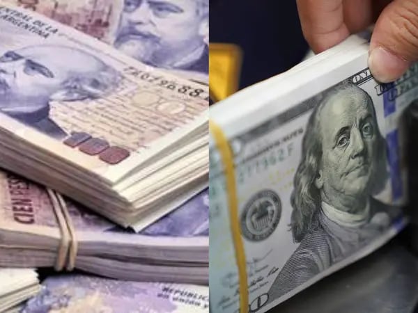 Pesos y dólares, las dos divisas que rigen la economía bimonetaria argentina