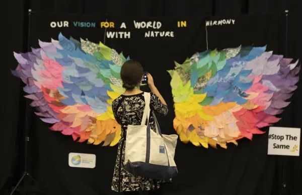 Un asistente toma una foto de los mensajes dispuestos en forma de alas durante la Conferencia de las Naciones Unidas sobre Biodiversidad COP15 en Montreal, Quebec, Canadá.