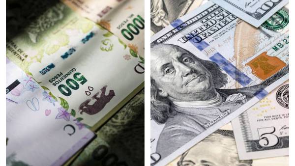 Aun con cepo, el peso argentino es de las monedas más depreciadas del mundo en 2022 dfd