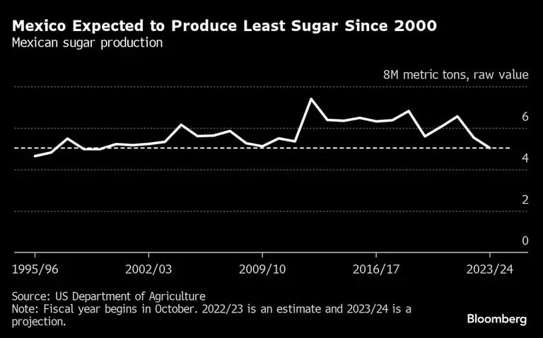 Se espera que México produzca menos azúcar desde 2000 | producción de azúcar mexicanadfd