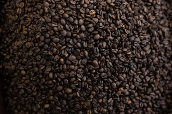 A escassez nos mercados de robusta também está impulsionando os preços do café arábica