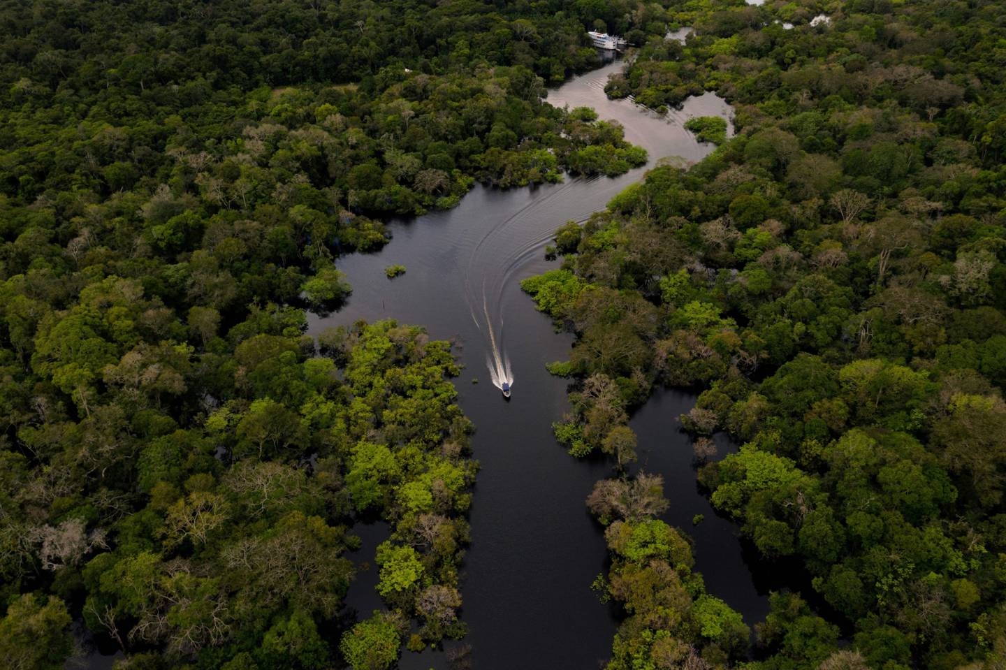 Un barco navega a toda velocidad por el río Jurura, en la selva amazónica brasileña.