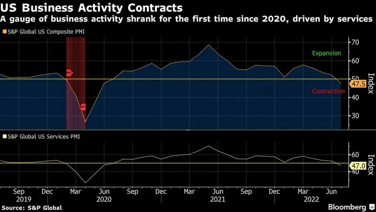 A gauge of business activity shrank for the first time since 2020, driven by services declinedfd
