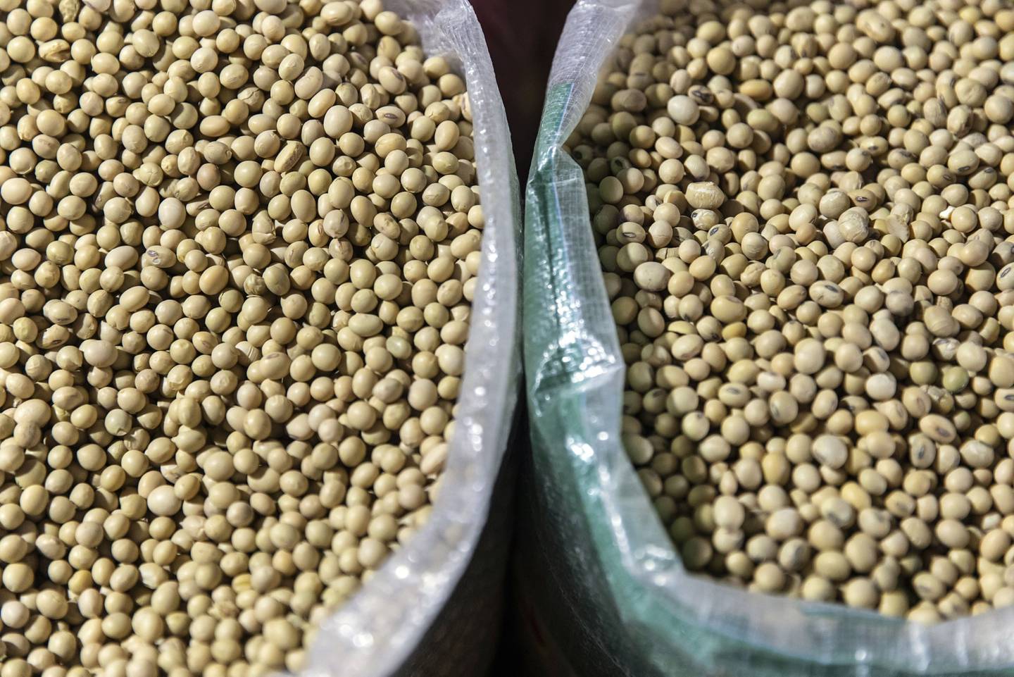 El frijol de soja en un puesto de venta de granos en el mercado de Shanghai, China, el martes 16 de junio, 2020. Los procesadores  de soja chinos necestian más frijoles de soja para el cuarto trimestre y comienzos del próximo año a medida que los suministros de Brasil se agotan en temporarda.