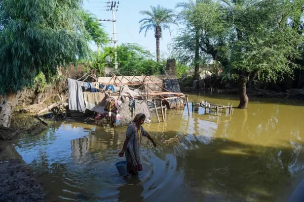 Una aldeana lleva un cubo de agua a su casa dañada por las inundaciones en las afueras de Sukkur, provincia de Sindh.