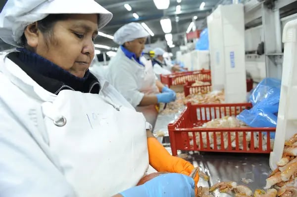 Mujeres cortan camarones en una fábrica. Fuente: Gobierno argentino