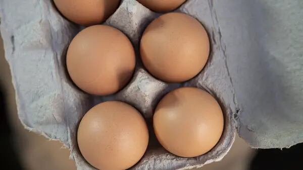 Caso de gripe aviária nos Estados Unidos pressiona os preços de ovosdfd