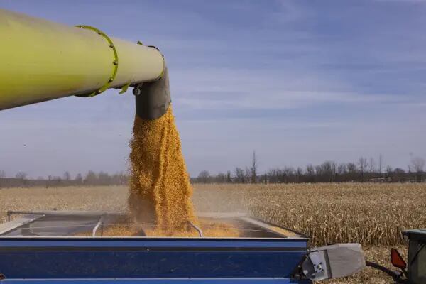 Produção de SAF com etanol de milho é um mercado crescente no mercado americano e global (Foto: Christinne Muschi/Bloomberg)