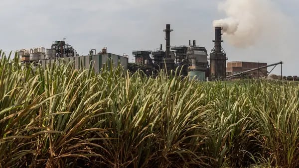 Brasil manterá tarifas sobre a importação de etanol, diz ministro de Agriculturadfd