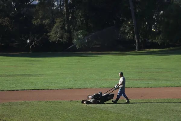 California To Ban Gas-Powered Lawn Tools