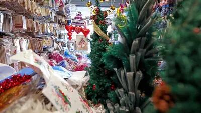 Compradores determinados agora podem encontrar árvores de Natal em exposição permanente e não mais escondidas em uma sala dos fundos