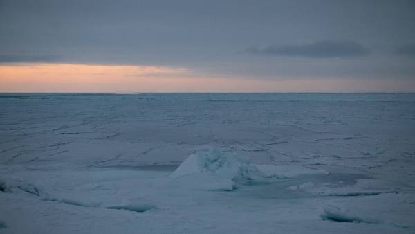 El Ártico tendrá veranos sin hielo tan pronto como en la década de 2030dfd