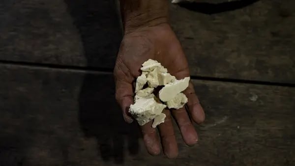 Los millonarios precios que se pagan por un gramo de cocaína en el mundo, según ONUdfd
