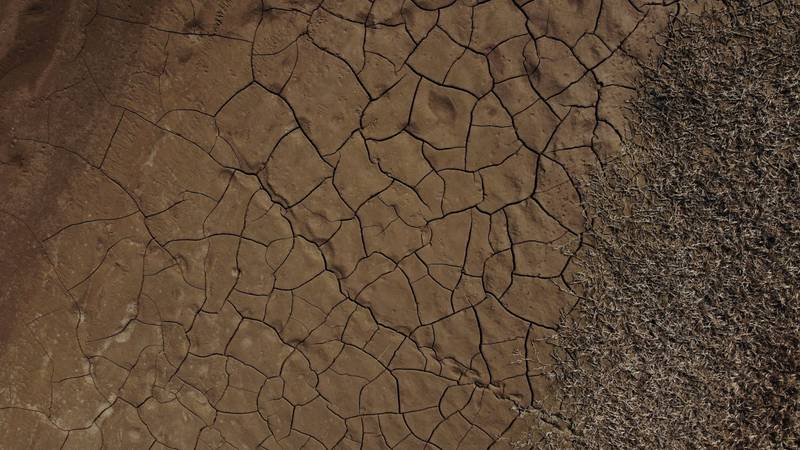 Sequía en Argentina: El campo sufriría pérdidas por US$3.000 millones