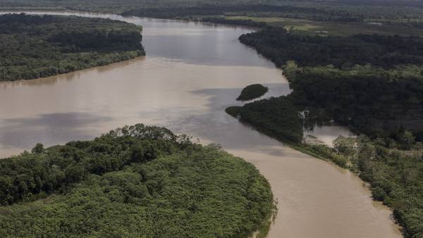 Narcotráfico extiende su millonario negocio a las reservas naturales de Colombiadfd