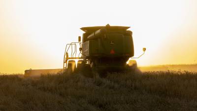 La seguridad alimentaria del mundo está en juego tras la salida de Rusia del acuerdo sobre cerealesdfd