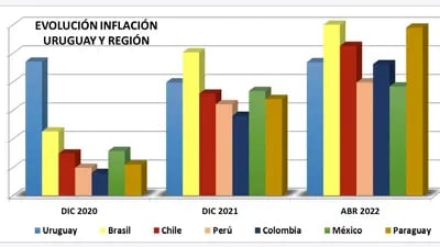 Labat tomó como referencia de buenas políticas a Brasil, Chile, Perú, Colombia, México y Paraguay.