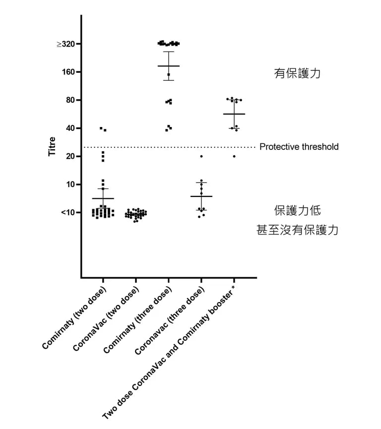 Gráfico muestra los niveles de anticuerpos neutralizantes del virus en la sangre de las personas inmunizadas y reforzadas con las vacunas Comirnaty (BioNTech) o CoronaVac (Sinovac).Fuente: Universidad de Hong Kongdfd
