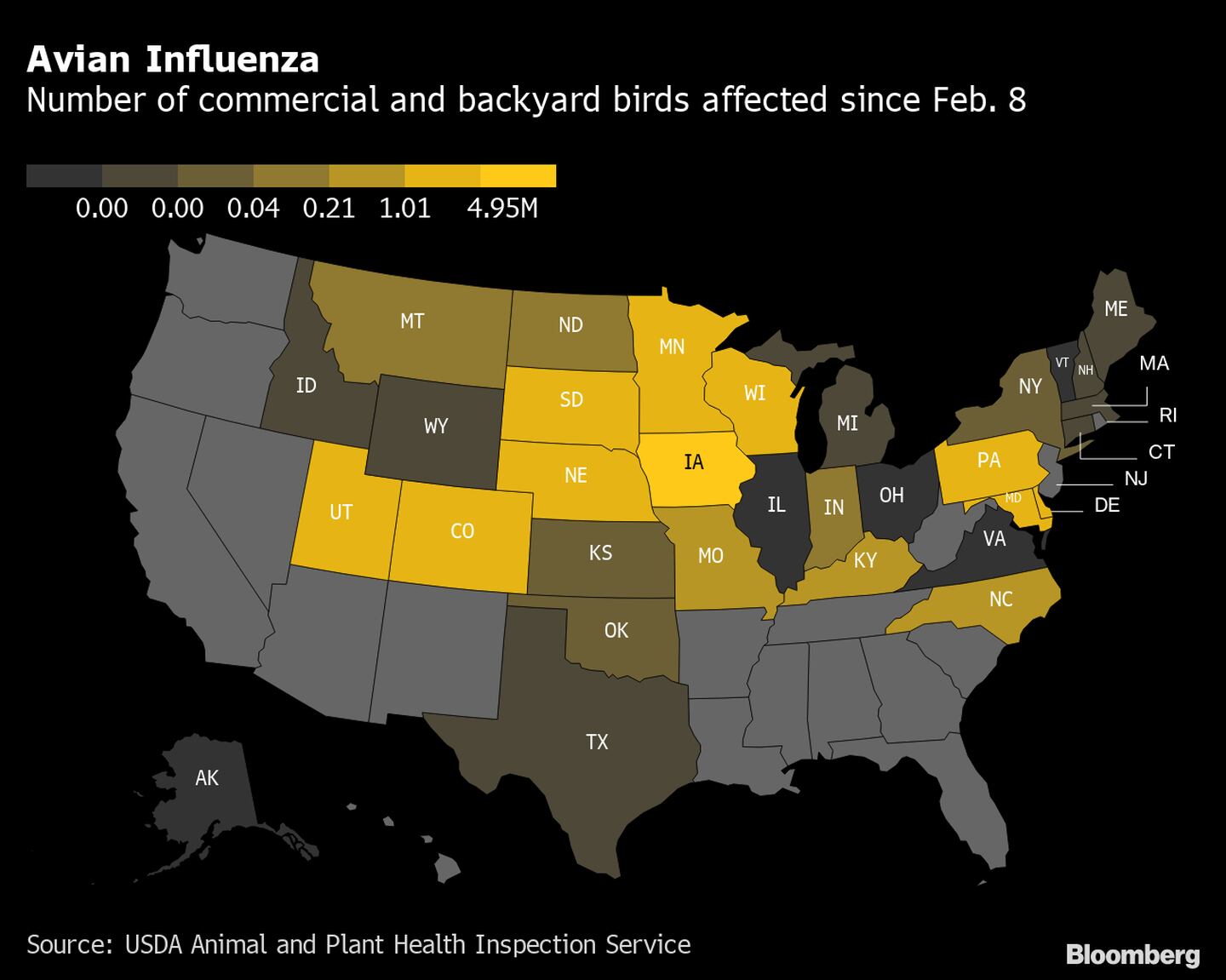   Aves afetadas pelo vírus desde 8 de fevereirodfd