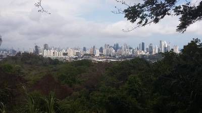 El reto de Panamá: mantener categoría de carbono negativodfd