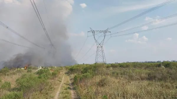 Apagón masivo: Gobierno argentino cree que el incendio fue un sabotajedfd
