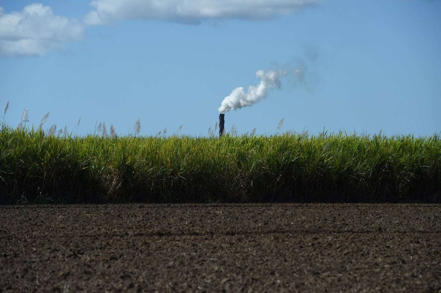 Tempo seco reduziu a produtividade dos canaviais do Brasil e influenciou na produção de etanol e açúcar das usinas do país
