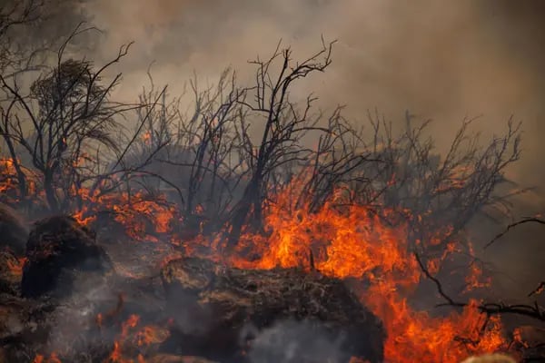 El incendio de Highland obliga a evacuar a miles de personas en el sur de California