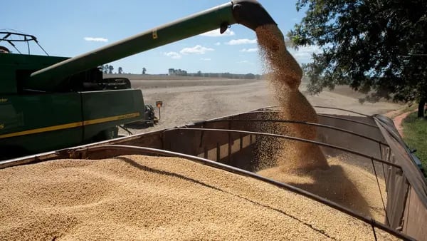 Cargill planeja manter expansão no processamento de soja, diz presidente no Brasildfd