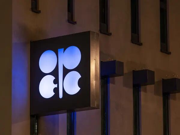La OPEP+ discute un recorte de la producción de petróleo de 1 millón de barrilesdfd