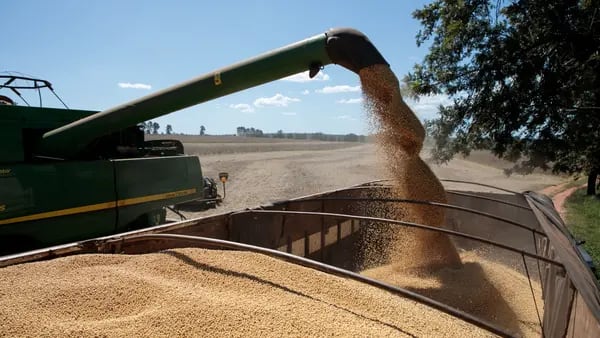 Argentina cosecharía más soja y maíz de lo previsto este año dfd