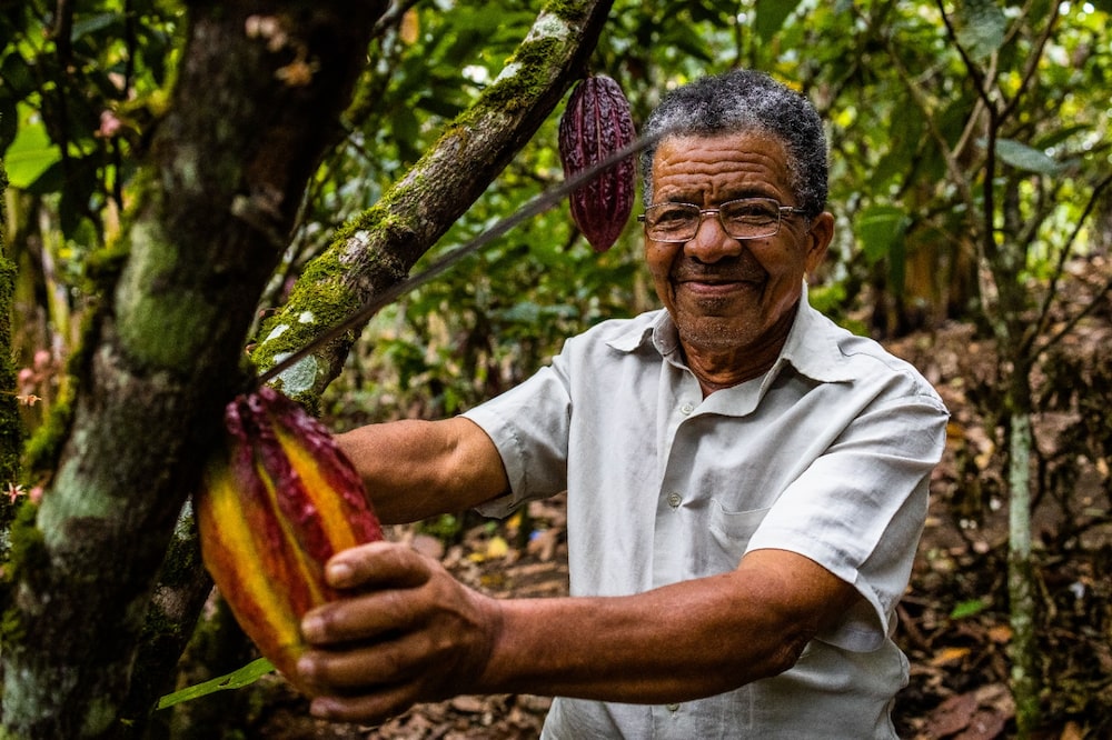 Agripino é um dos produtores de cacau da Dengo: seu filho representa a quarta geração de cacauicultores da família na Fazenda Boa União Agripino é um dos produtores de cacau da Dengo: seu filho representa a quarta geração de cacauicultores da família na Fazenda Boa União