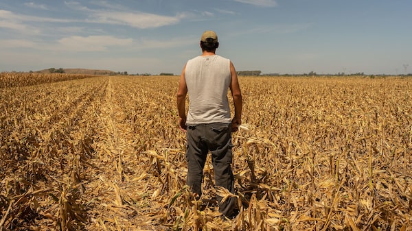 Relatório da ONU aponta qual é a ameaça silenciosa do aquecimento global Relatório da ONU aponta qual é a ameaça silenciosa do aquecimento global