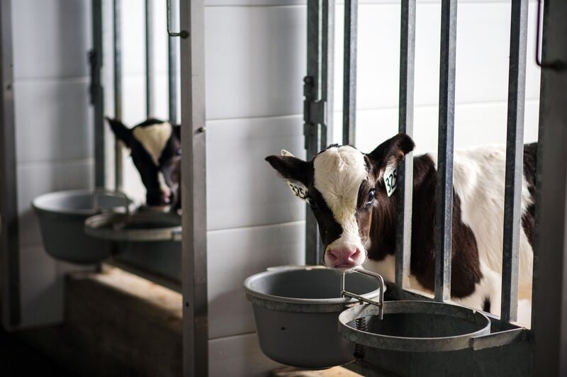 Senadores del Comité de Finanzas del Senado de EE.UU. piden medidas para que México y Canadá cumplan acuerdos en sectores como el agrícola. Senadores del Comité de Finanzas del Senado de EE.UU. piden medidas para que México y Canadá cumplan acuerdos en sectores como el agrícola.