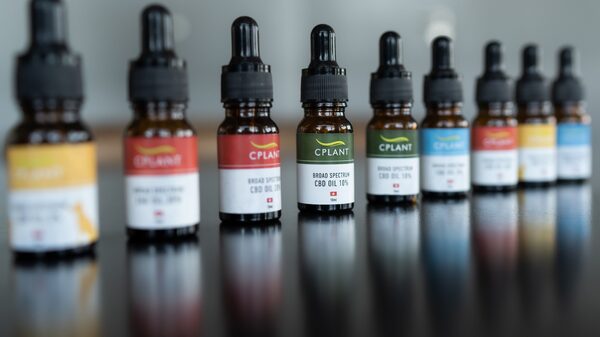 La caída del precio del cannabis crea una oportunidad para Paraguay La caída del precio del cannabis crea una oportunidad para Paraguay