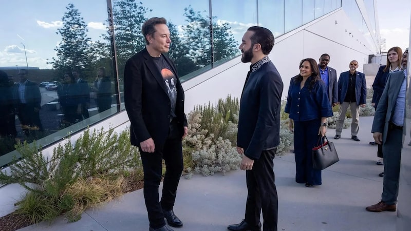 Elon Musk y Nayib Bukele Elon Musk y Nayib Bukele