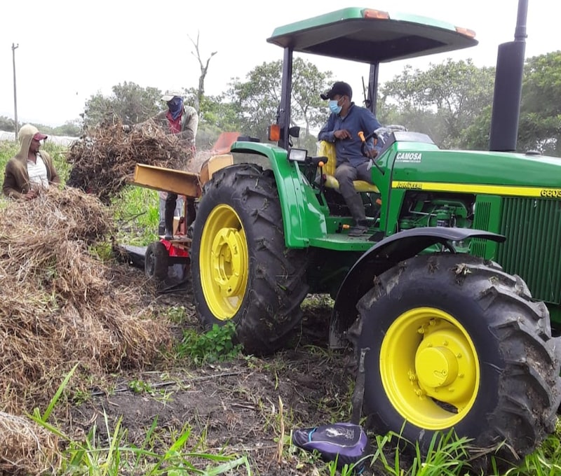 Agroindustria, construcción y turismo son claves en la región. Agroindustria, construcción y turismo son claves en la región.