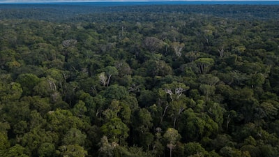 Título verde do agronegócio vira case do Brasil na COP-26 Título verde do agronegócio vira case do Brasil na COP-26