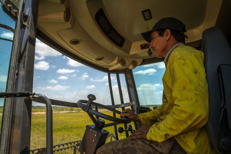 LLuvias en Venezuela: ¿Cómo han afectado a la producción agrícola? LLuvias en Venezuela: ¿Cómo han afectado a la producción agrícola?