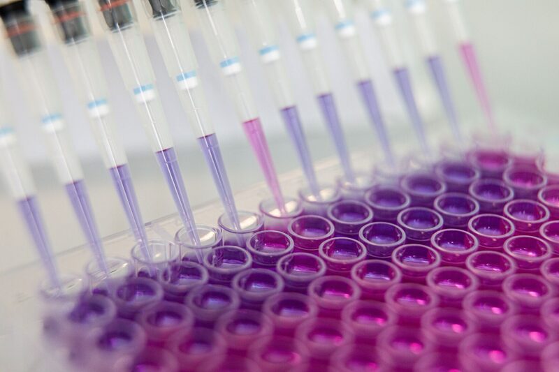 Foto: Akos Stiller Foto: Akos Stiller