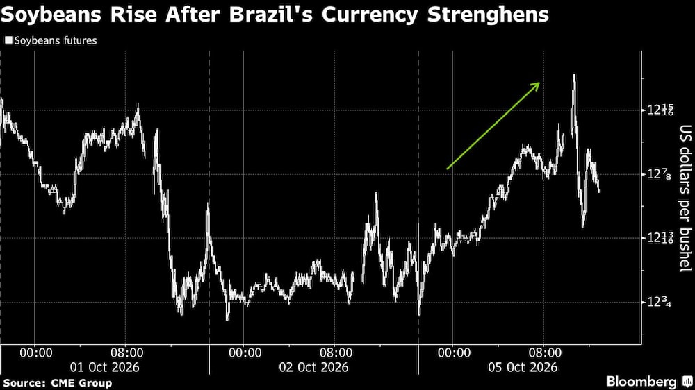 Soybeans Rise After Brazil's Currency Strenghens Soybeans Rise After Brazil's Currency Strenghens