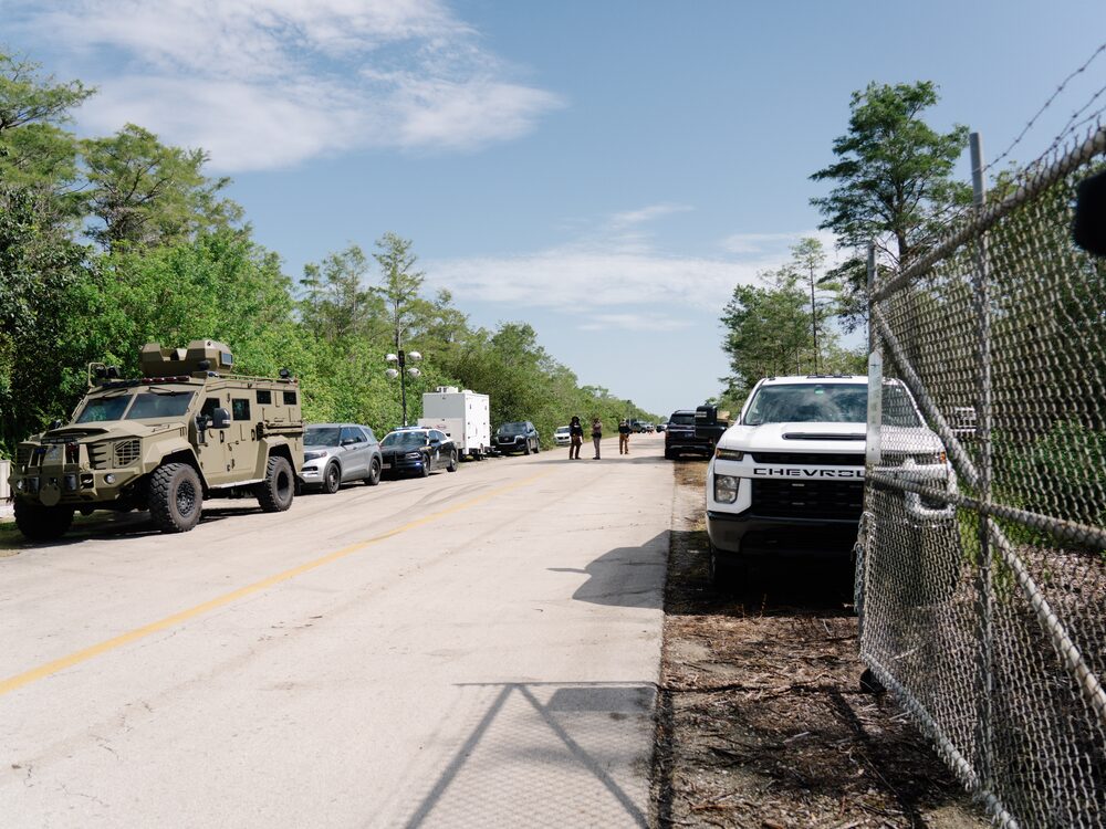 Aliigator Alcatraz Aliigator Alcatraz