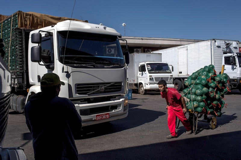 Trabajadores descargan verduras y hortalizas en un almacén en São Paulo. Fotógrafo: Victor Moriyama/Getty Images. Trabajadores descargan verduras y hortalizas en un almacén en São Paulo. Fotógrafo: Victor Moriyama/Getty Images.