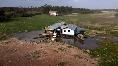 Sequía histórica empeorará en la Amazonia brasileña, dice un científico Sequía histórica empeorará en la Amazonia brasileña, dice un científico