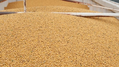 China intensifica las subastas de soja mientras compra más alubias a EE.UU. tras acuerdos China intensifica las subastas de soja mientras compra más alubias a EE.UU. tras acuerdos