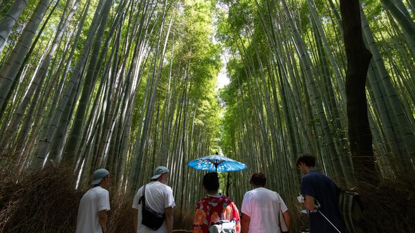 ¿Cómo esquivar a los turistas? Japón y sus destinos menos conocidos ¿Cómo esquivar a los turistas? Japón y sus destinos menos conocidos