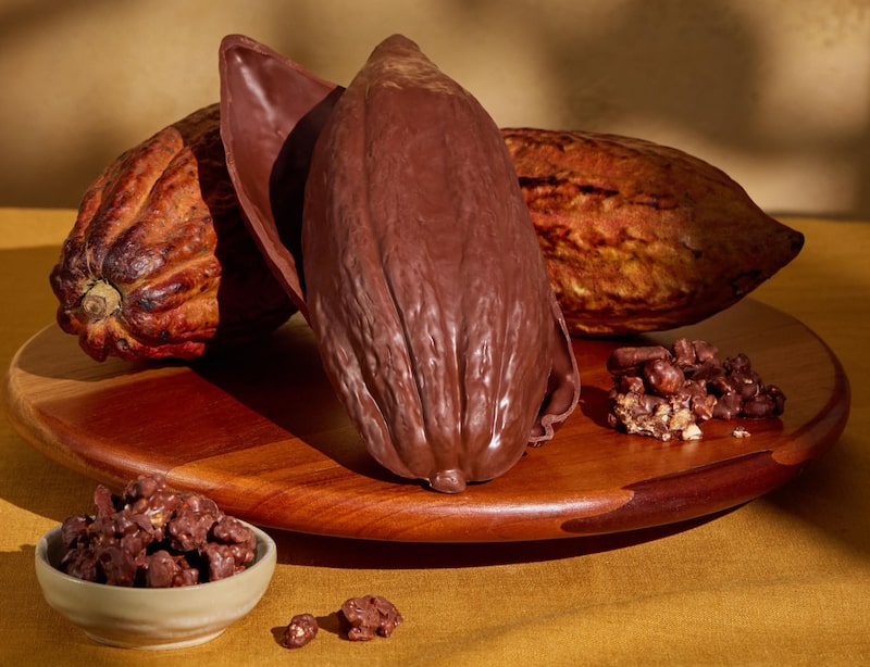 Chocolates da Dengo Chocolates da Dengo