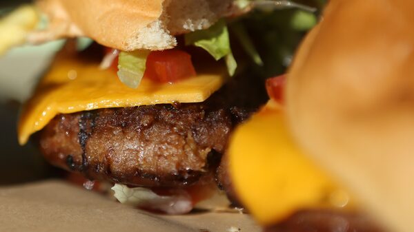 Proyecto para desarrollar queso vegano gana grandes promotores Proyecto para desarrollar queso vegano gana grandes promotores